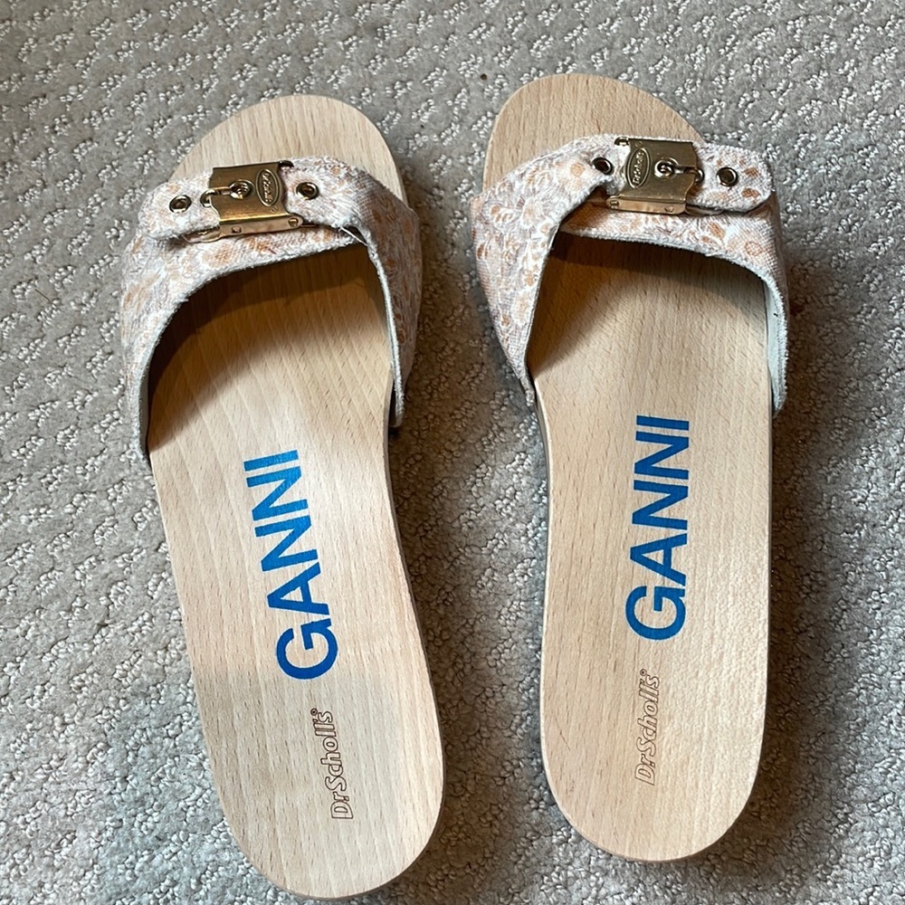 Ganni slides